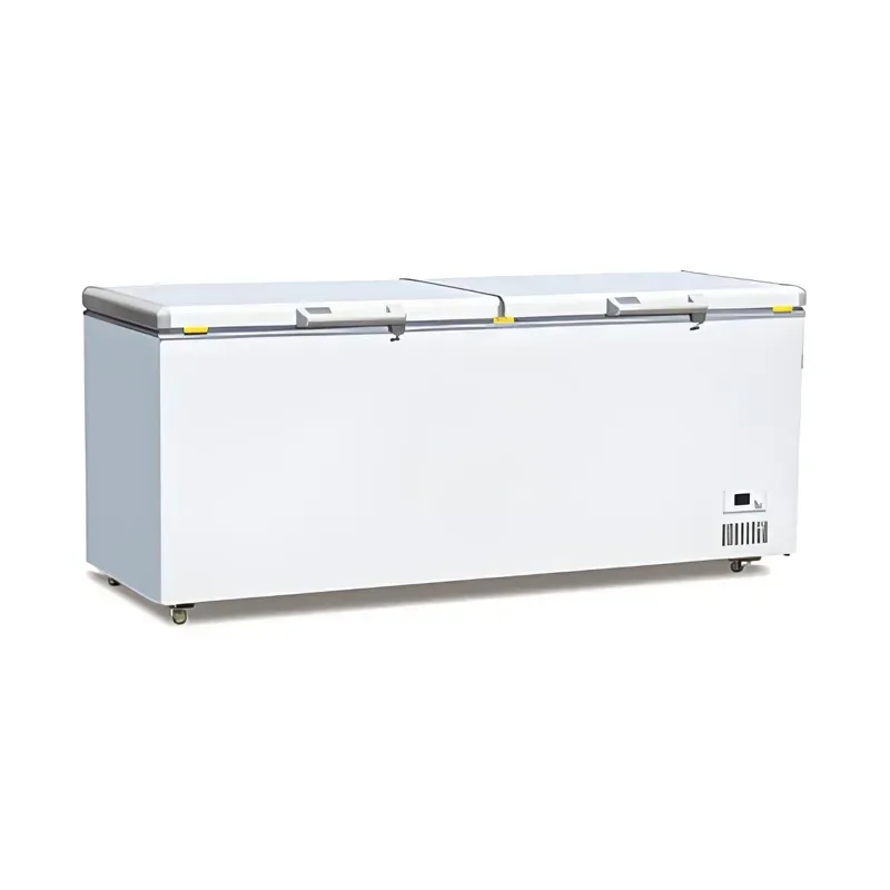 Top Door Horizontal Freezer